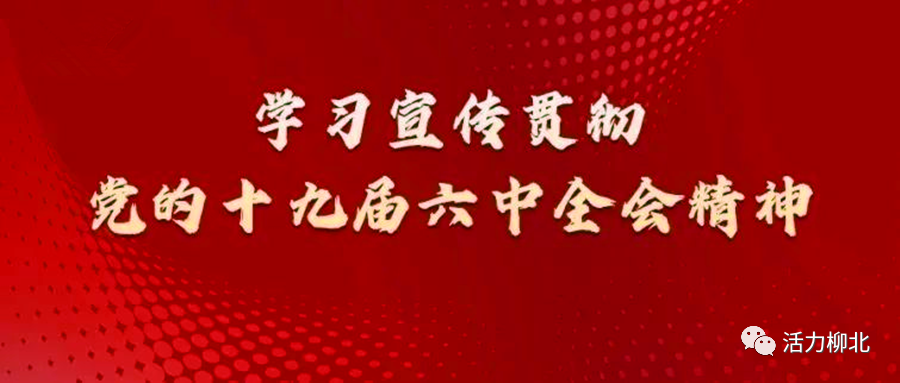 深入学习宣传贯彻党的十九届六中全会精神长塘镇以青春力量宣讲党的