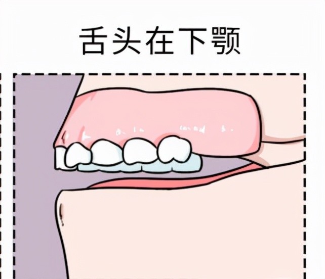 看到这里,快检测一下舌头在口腔中的位置是放在哪里的?