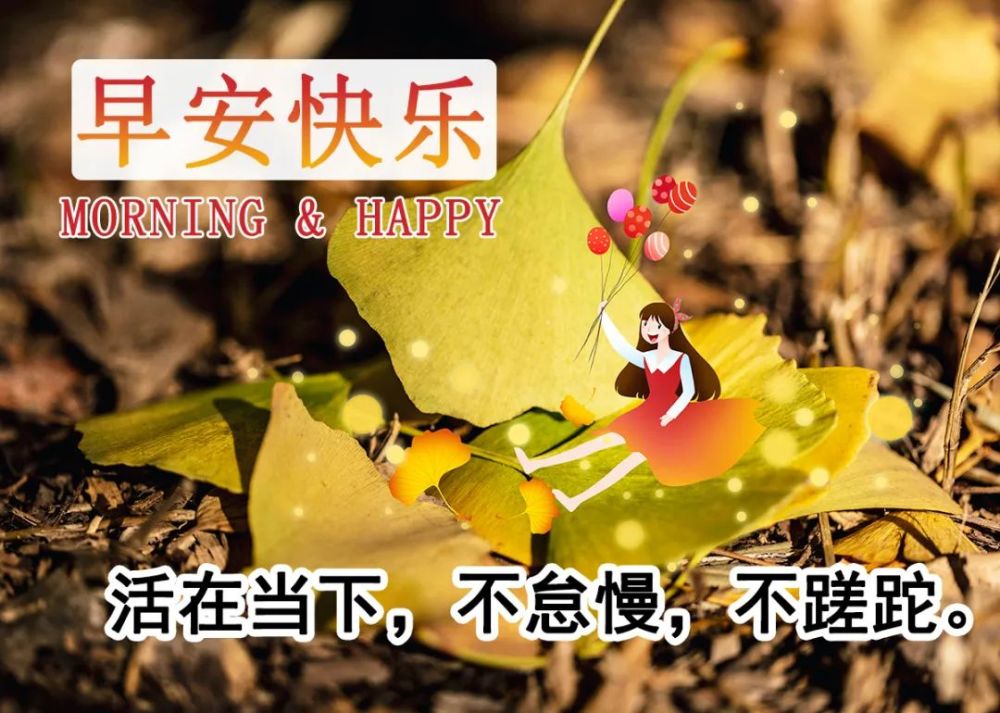 12月清晨早上好问候专辑2021年最美的早安祝福高清图片