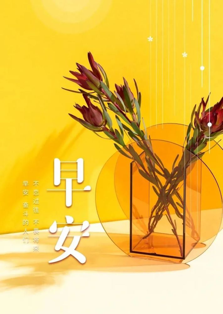 12月4日寒冷冬季最美早上好图片动态的带鲜花