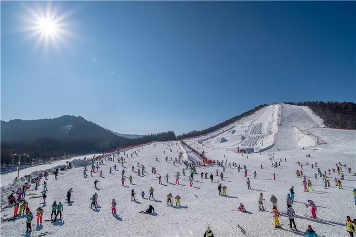 今年神农架国际滑雪场投资1187万元,对服务大厅,酒店,雪场