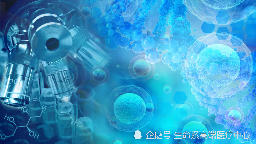 生命系一站式服务,提升国人干细胞存储需求(图2)