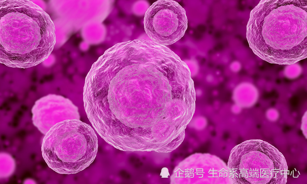 【资讯】生命系一站式服务,提升国人干细胞存储需求(图3)