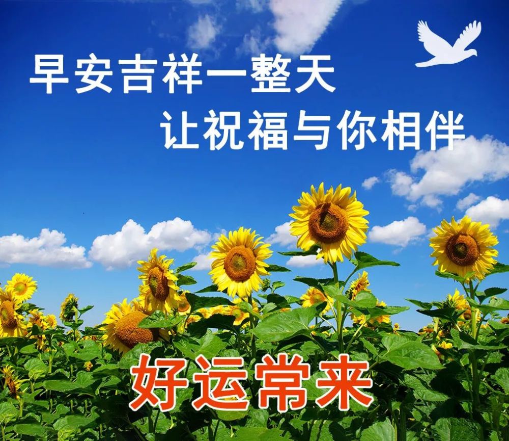 祝福是无数日子的牵挂凝结成的一句话天冷了保重身体早安