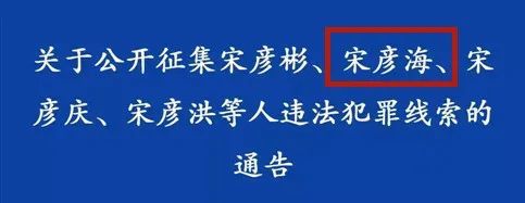 从演员到公安局长再到落马,宋氏四兄弟背后的保护伞终于浮出水面