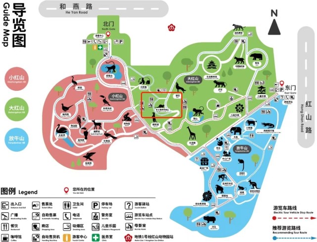 南京红山森林动物园导览图,红框中为该园的本土物种保育区今年4月16