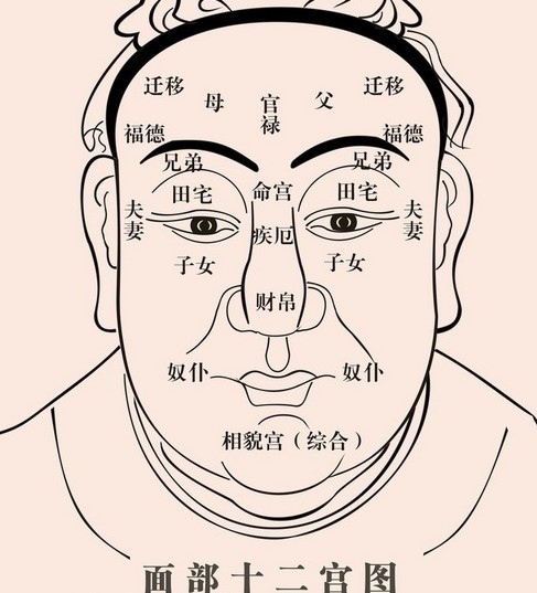 老祖宗识人术人中一条线有子也难站啥意思还受用吗