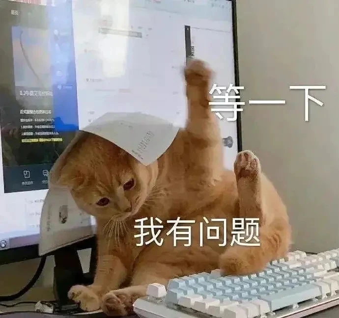 表情包喵我有一个问题