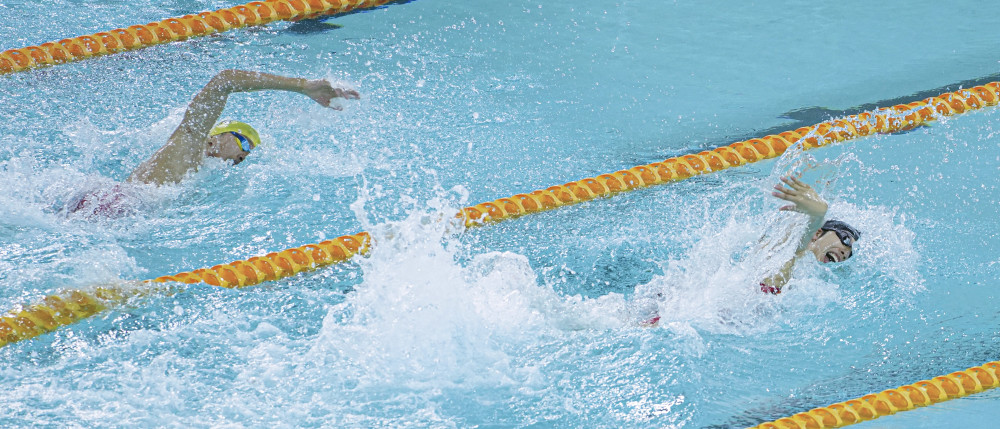 精神耀香江·体育)内地奥运健儿在维多利亚公园游泳池进行表演活动