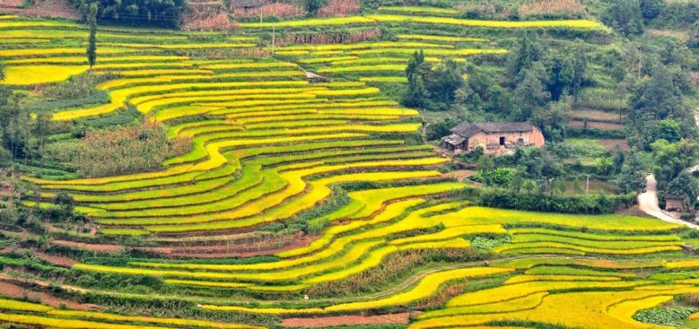 遇见凤堰梯田,于时光和山水间