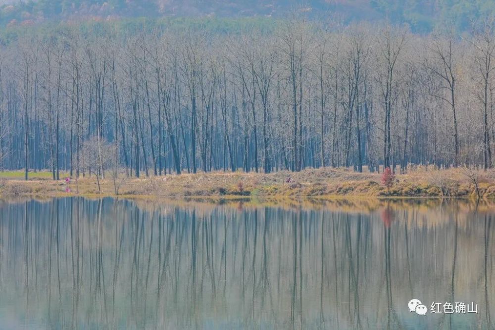 在确山县瓦岗镇东南方向有三个临河而建的行政村,分别叫着冲口,芦庄和