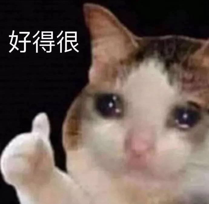 委屈猫猫头表情包:你怎么能欺负我啊