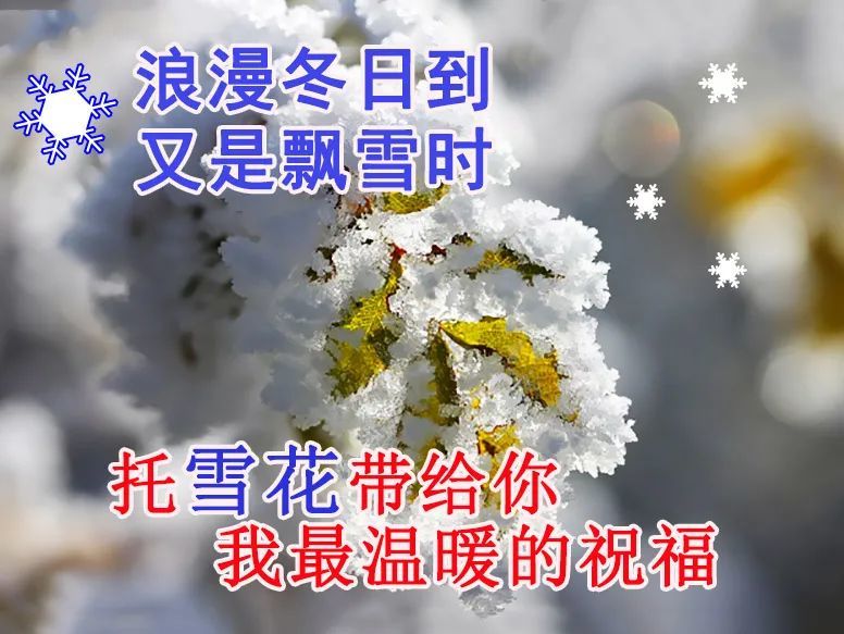 冬天下雪了早上好美女问候专辑早安祝福语录闪动的表情图片