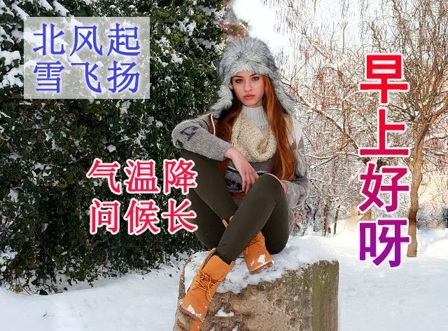 冬天下雪了早上好美女问候专辑早安祝福语录闪动的表情图片