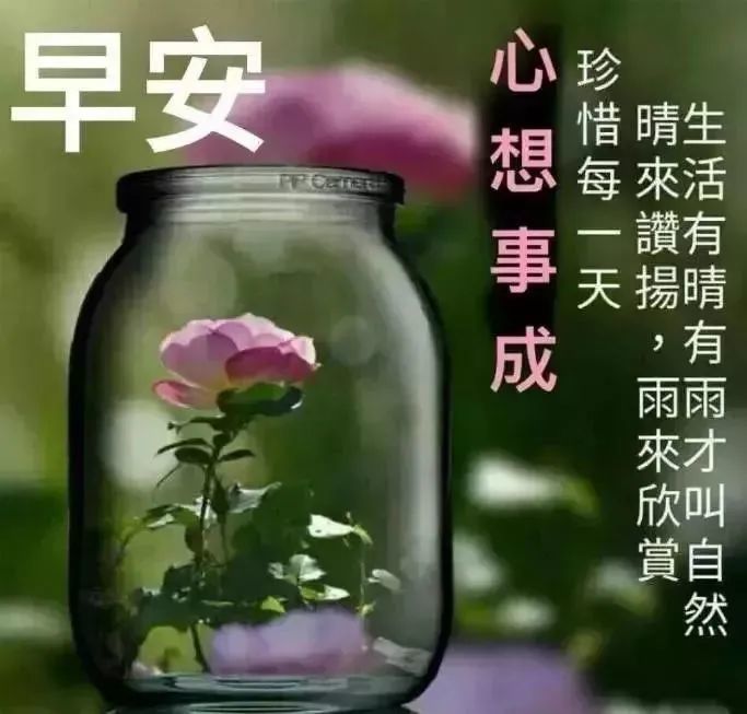 12月5日周五清晨早上好问候语漂亮动图