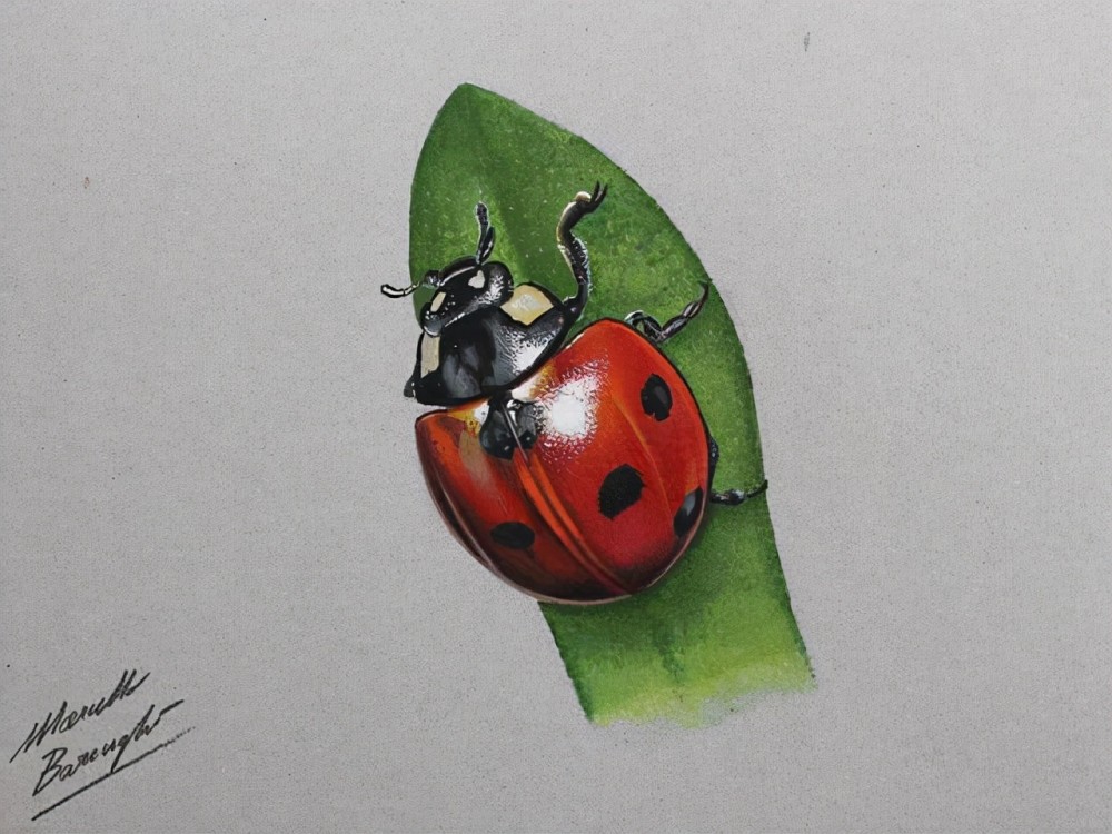 意大利米兰插画家marcellobarenghi超逼真的彩铅素描欣赏