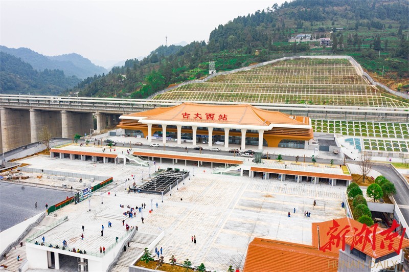 湖南日报丨高铁开进古丈毛尖茶叶林写在张吉怀高铁开通之际古丈篇