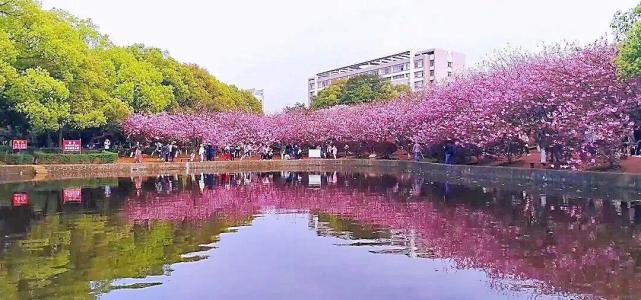 湖南科技大学:"科技"大学中的地方实力派,2021年全国