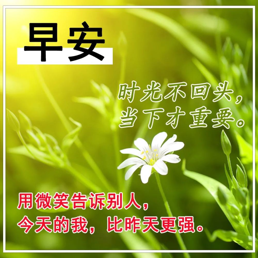 在此问候你一声:朋友今天的你还好吗?早安!