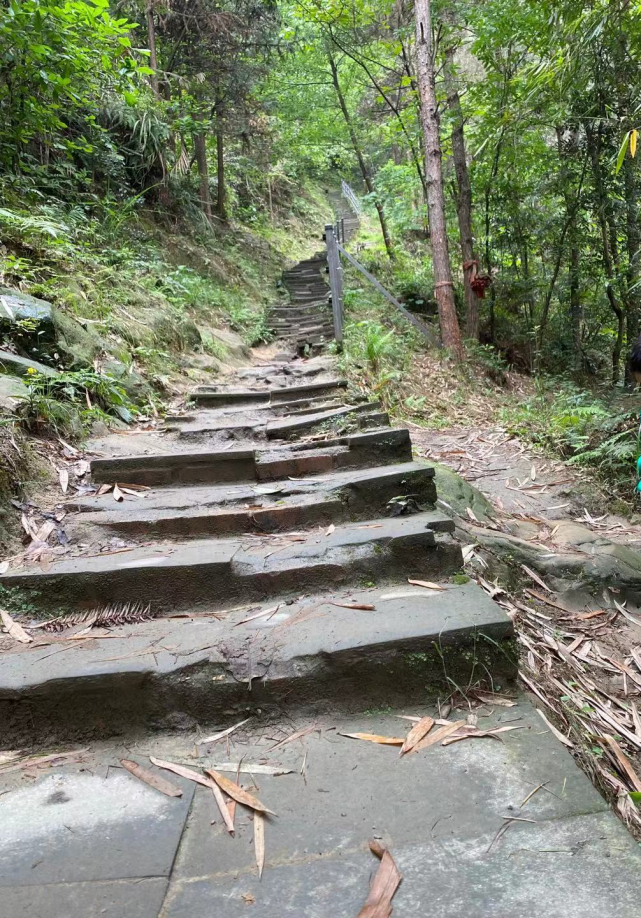 璧山金剑山森林步道工程预计于12月底正式投用