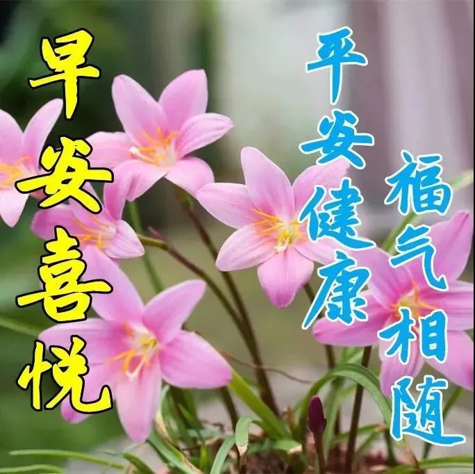 早上好最暖心的祝福短信带图片致我在乎的朋友
