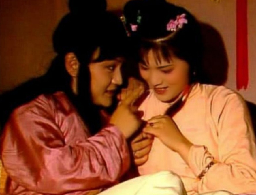 晴雯很漂亮袭人很优秀为什么她们都被淘汰出局了