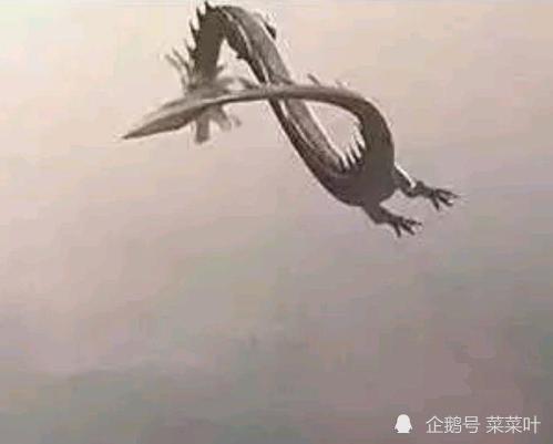 黑龙江坠龙事件:没有人能够有一个准确的答案