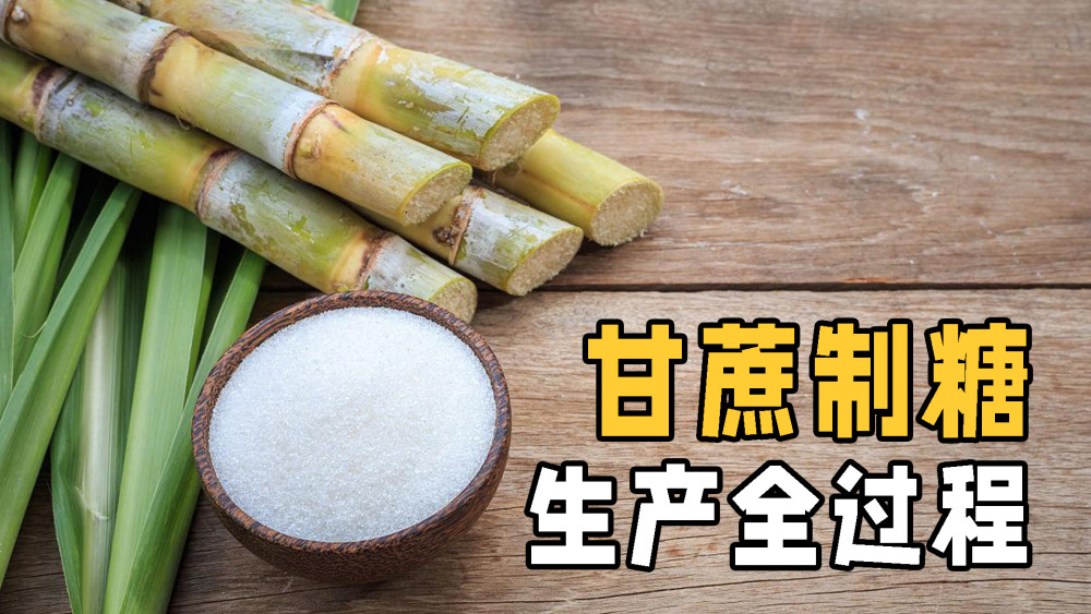 它和甜菜制成的糖谁更甜?揭秘甘蔗制糖全过程