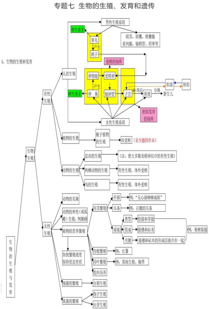 【学考备考】初中生物思维导图大全,不容错过!(附学考