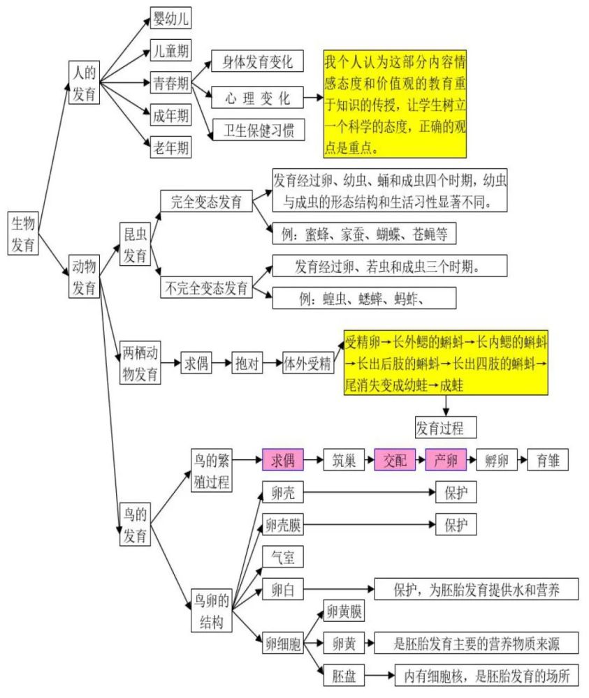 学考备考初中生物思维导图大全不容错过附学考4大高分要点汇总建议