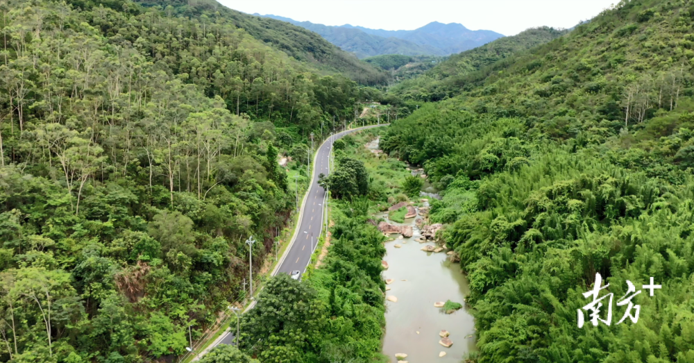 揭阳美丽农村路 揭西坪上镇乡道y569起于坪上镇区 贯穿坪上万梅谷文化