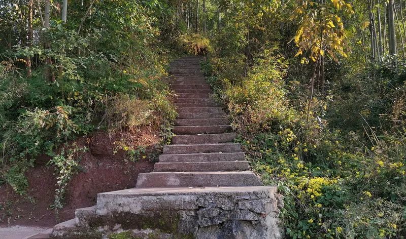 合川小众景点-小顶山_腾讯新闻