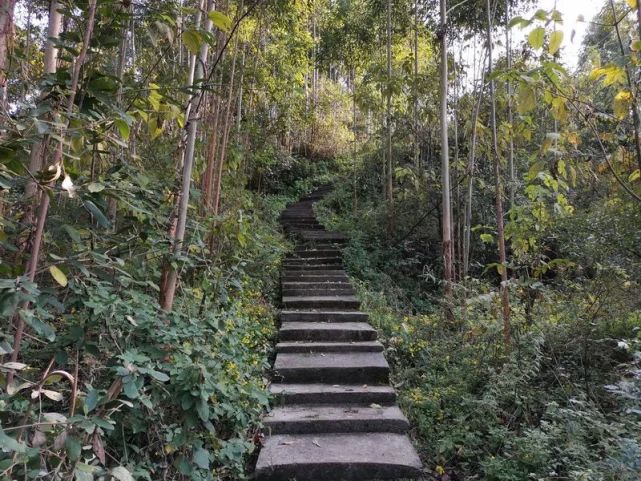 合川小众景点-小顶山_腾讯网