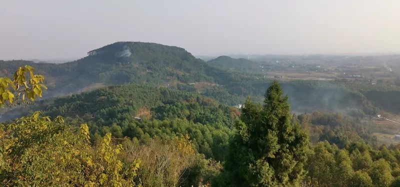 合川小众景点-小顶山_腾讯新闻