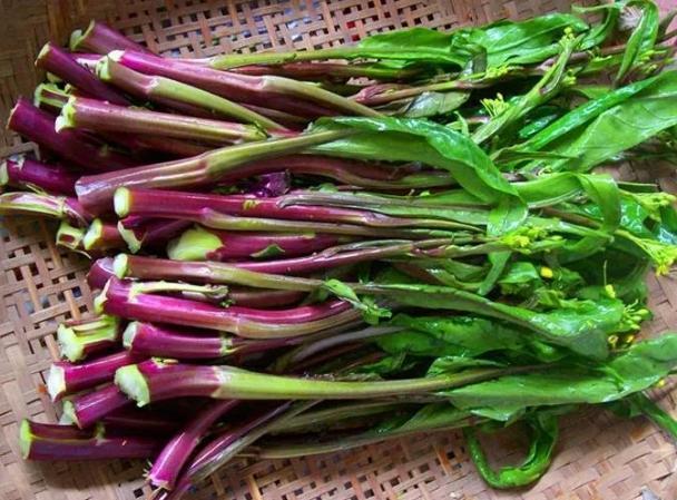 红菜苔营养价值特别的丰富,它里面含有大量的钙,铁,锌,维生素c,还包括