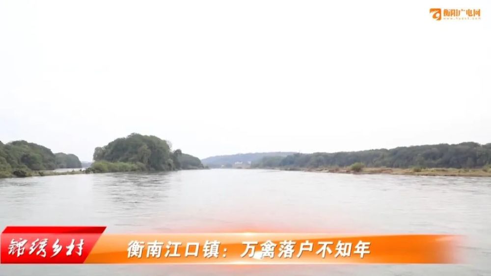 锦绣乡村衡南江口镇