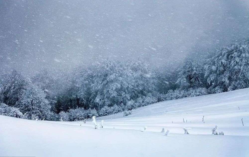 今日,大雪.