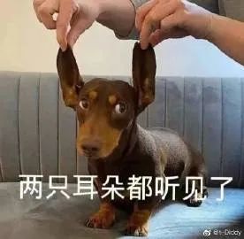 表情包:我两只耳朵都听见了