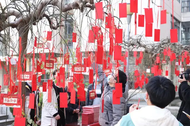 考研学子们陆陆续续地来到红包树下,喜笑颜开地摘下最合眼缘的红包