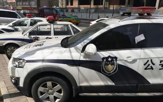中国警车大变样,捷达桑塔纳靠边站,网友直呼这才是范