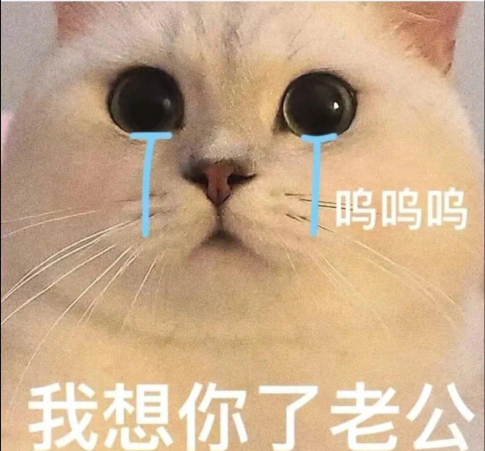 呜呜呜我摊牌了我是老公奴猫咪表情包