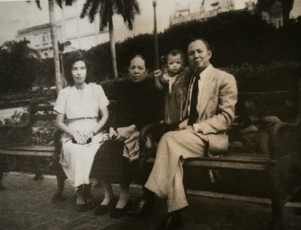 李宗仁长子:曾资助父亲回国,一生独爱母亲,母去世一年