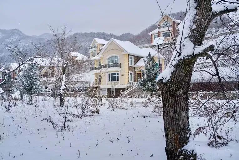 我在天桥沟滑雪场,助力北京冬奥会.