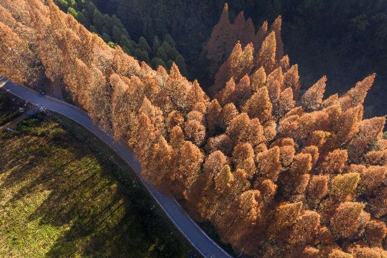 冬日暖阳的靖州排牙山