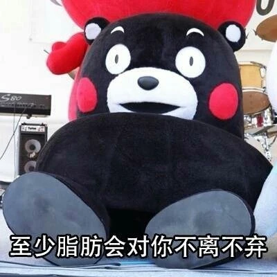 熊本熊表情包