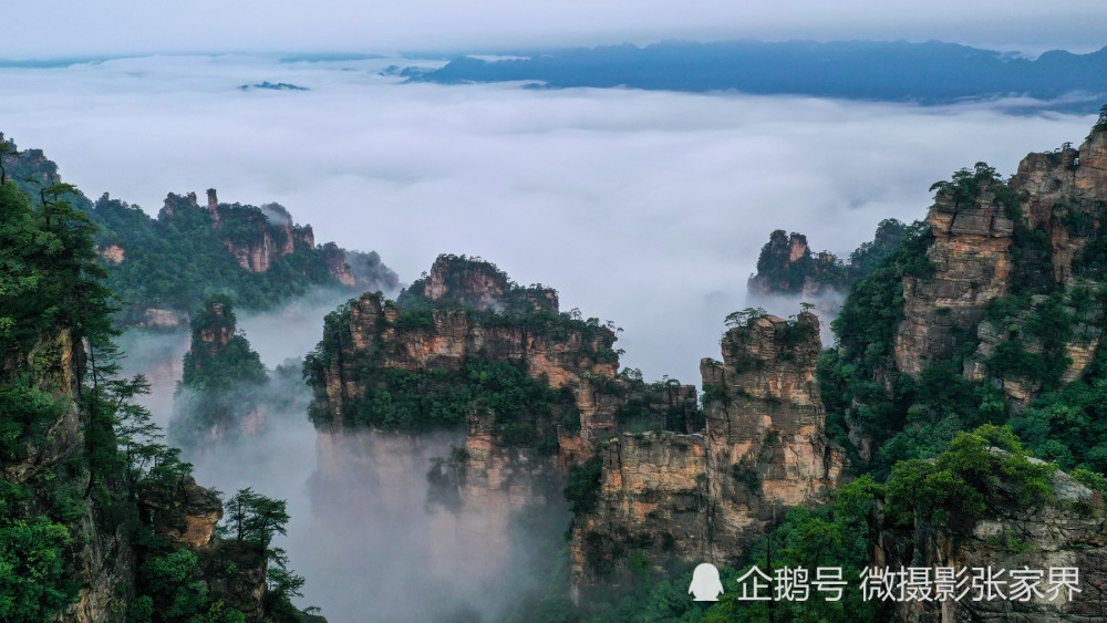 "寻找最美风景"献礼建党100周年 杨家界景区图片征集活动截稿延期