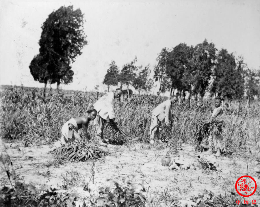 晚清老照片:130年前山东一个村庄的日常生活,男主外女主内