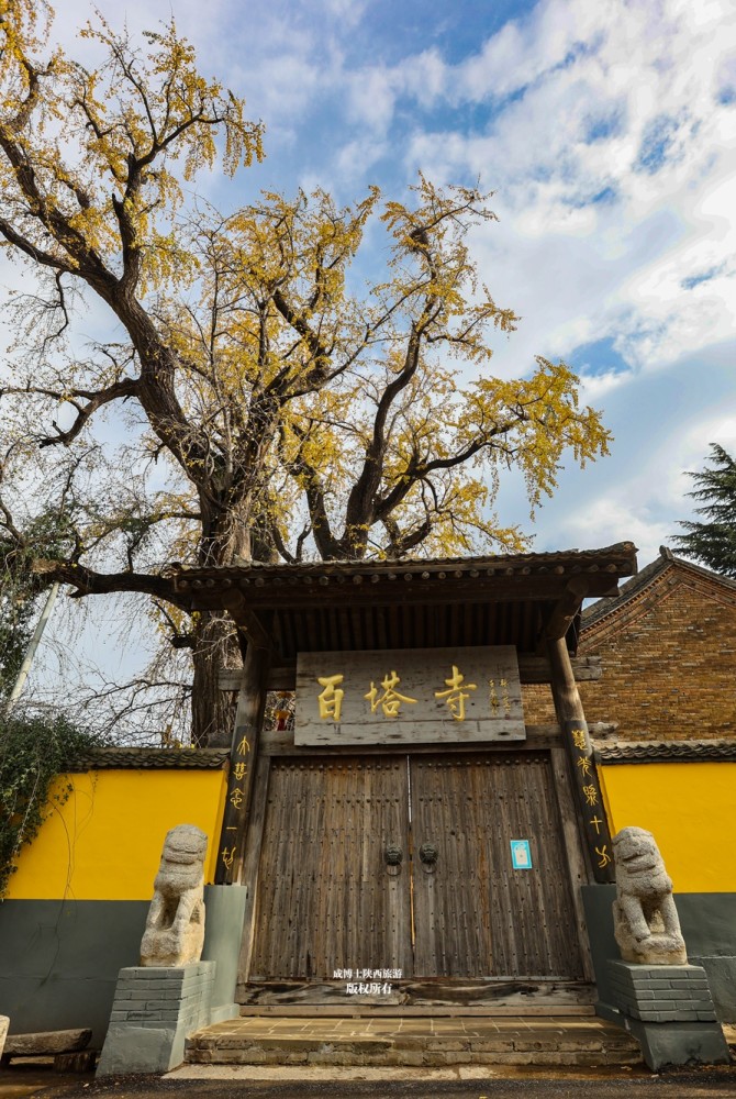 西安百塔寺为佛教三阶教祖庭，然而并没有塔，只有一棵千年银杏