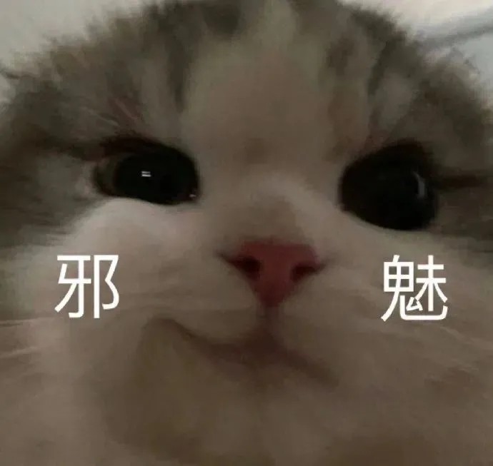 可爱猫狗表情包