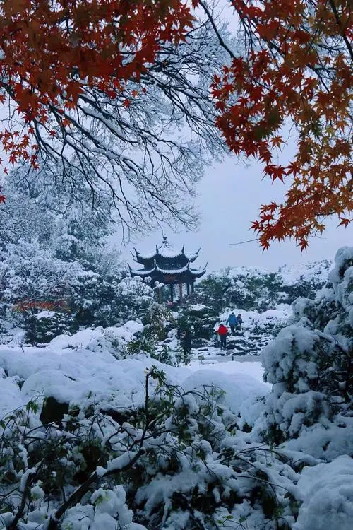 雨西湖不如雪西湖 杭州西湖冬景美得窒息